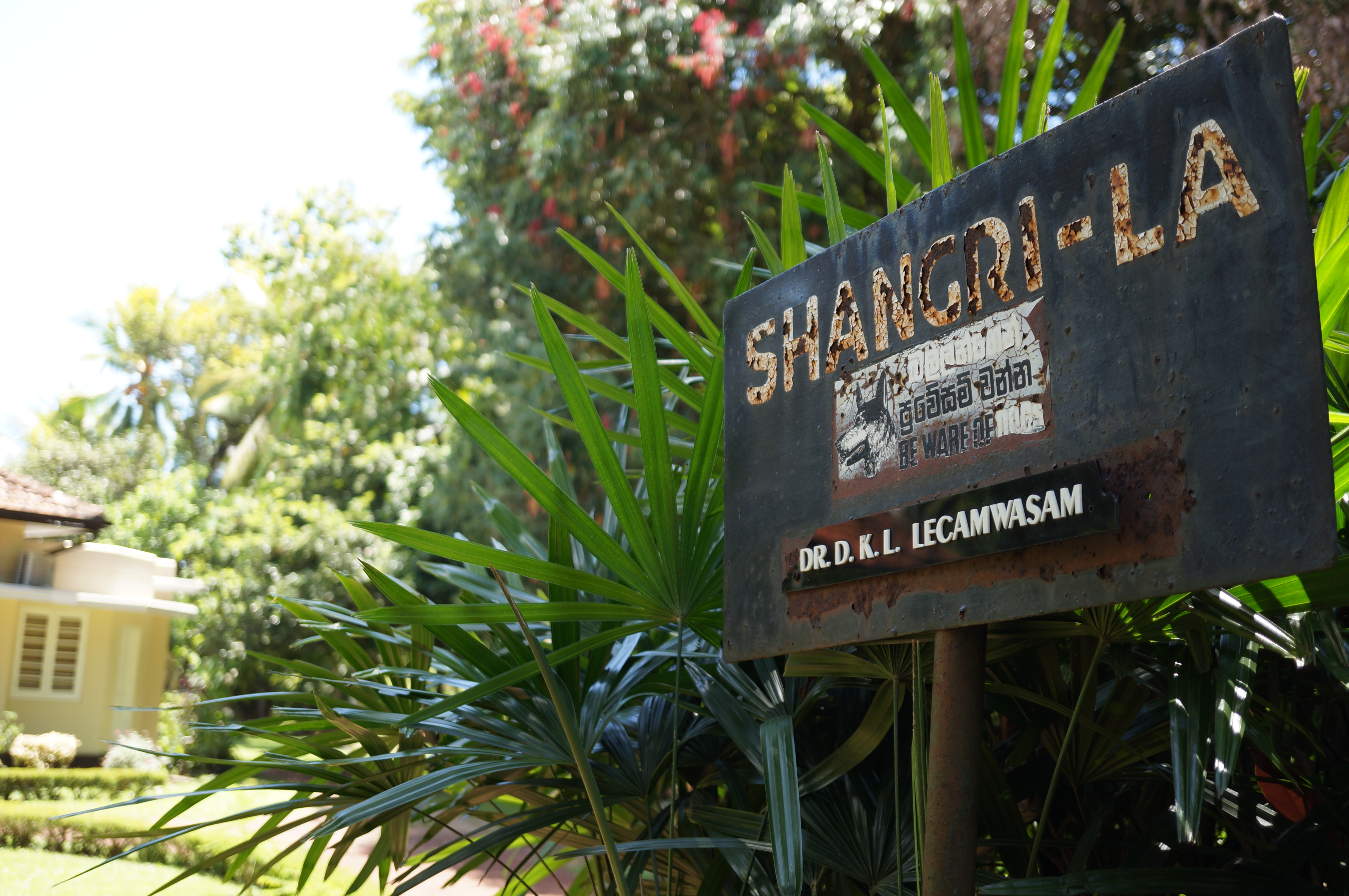 Shangri-La Bungalow